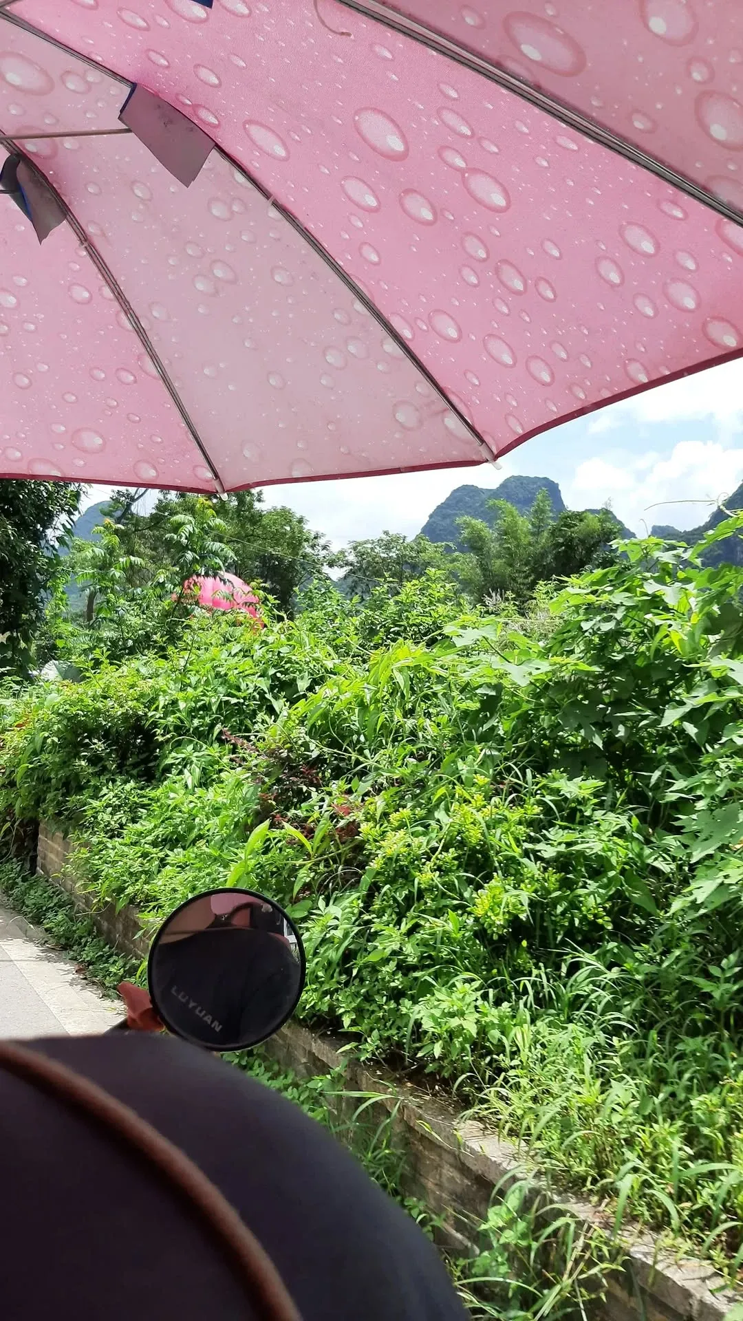 Riding an e-bike through Yangshuo countryside under a pink umbrella